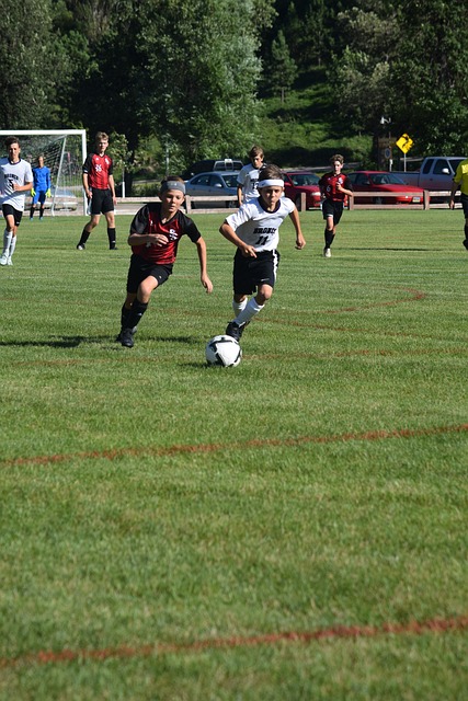 拥有良好的 拥有良好的