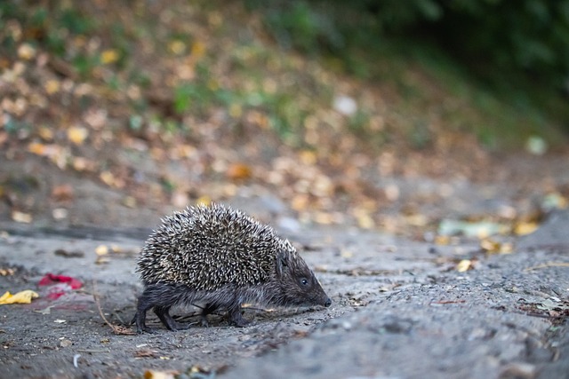 感到氣憤 感到氣憤