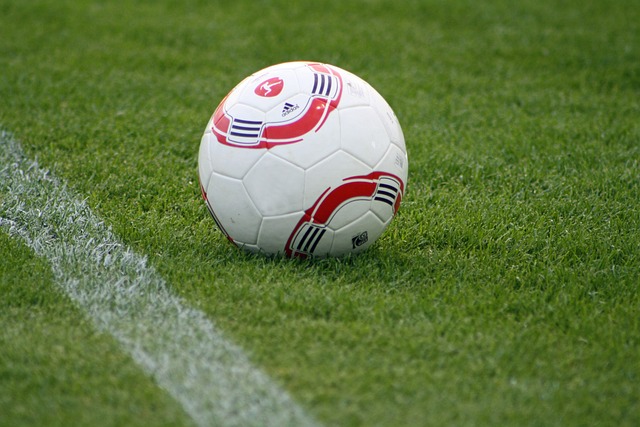 在积极努力 在积极努力