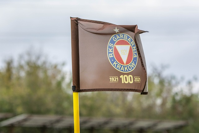 霆击败波特 霆击败波特