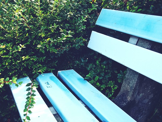 望的双刃剑 望的双刃剑