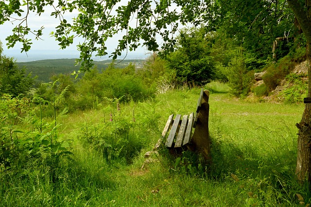 上周打了一架 美加冰球賽20日冠軍賽重逢.